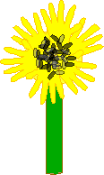 Search result: 'Sunflower Craft'