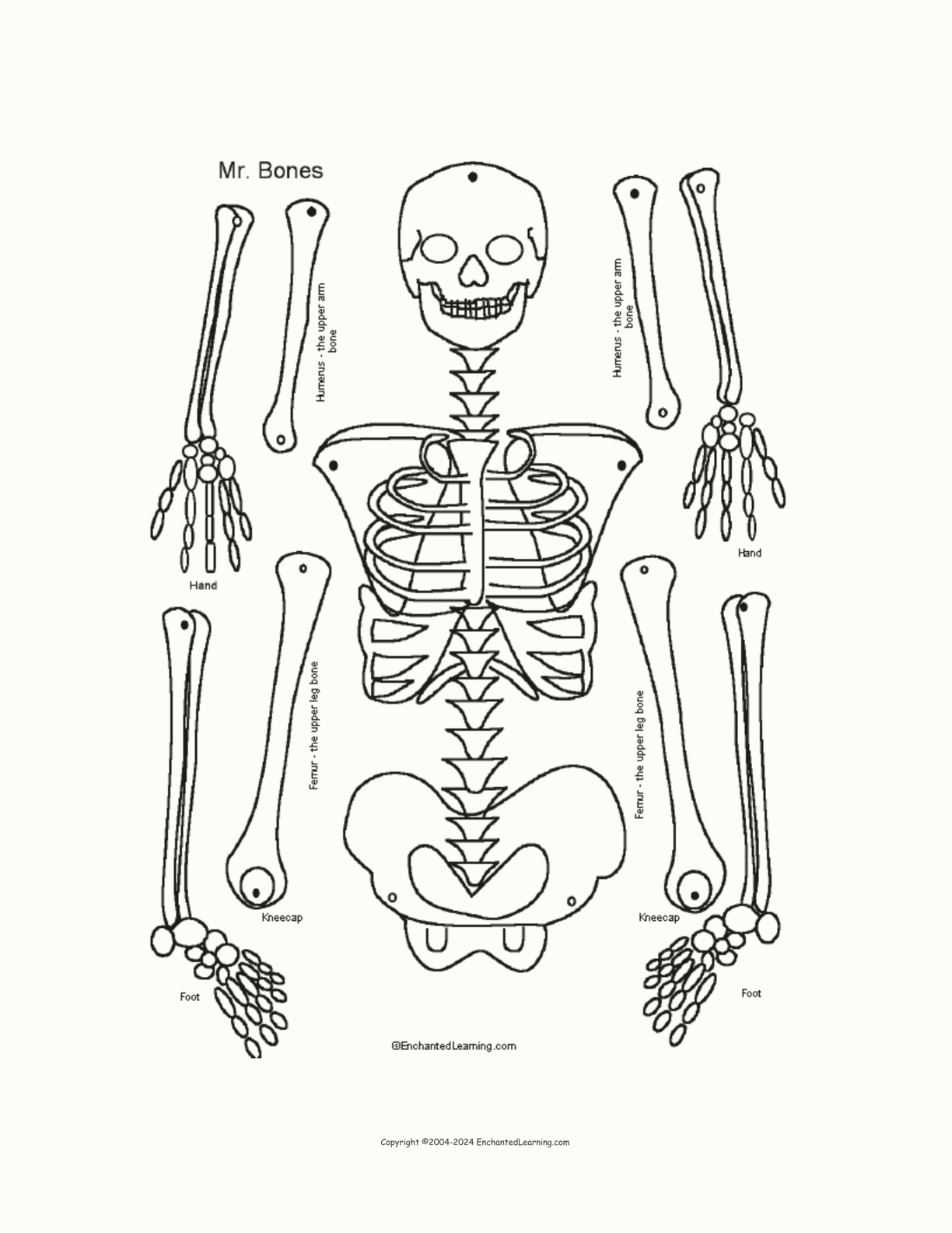 Mr. Bones Skeleton Craft Template interactive printout page 1