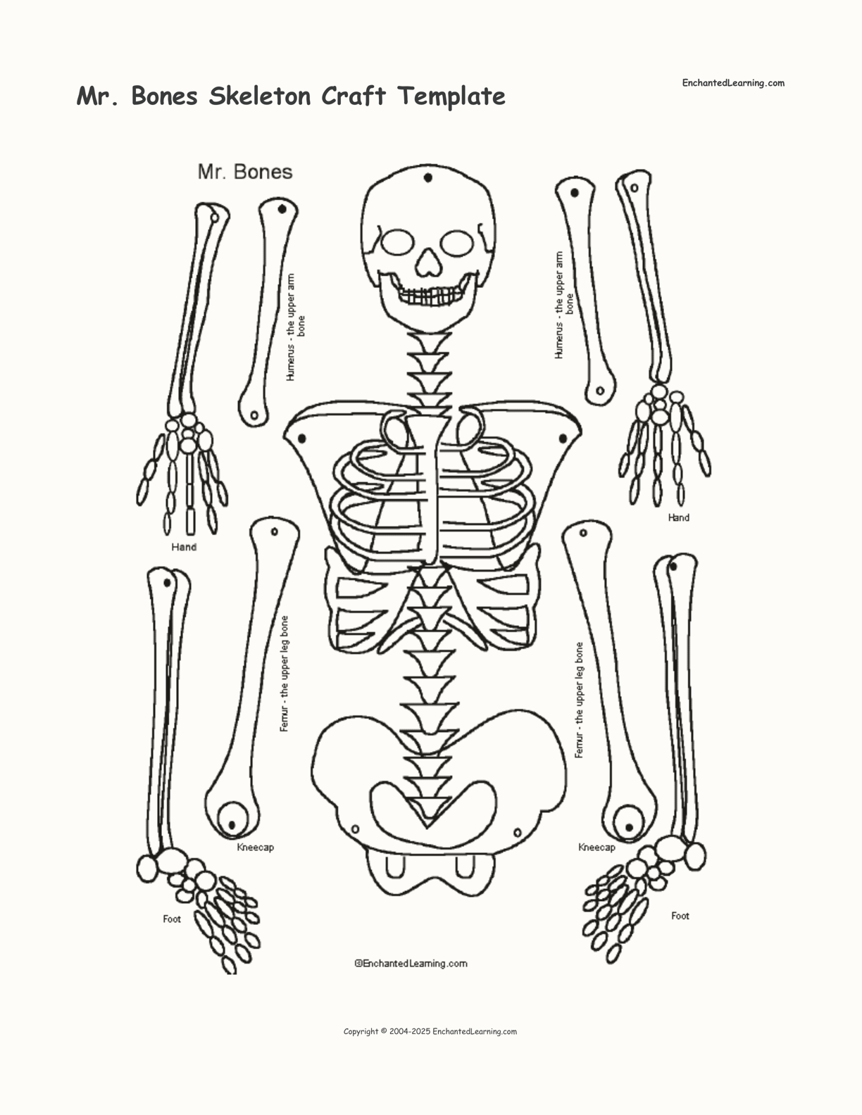 large printable skeleton parts