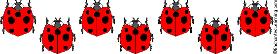 ladybugs