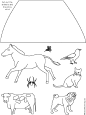 The animals template