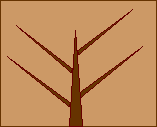 A drawn tree on paper