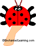 The finished ladybug puppet.