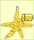 A glue and glitter starfish.