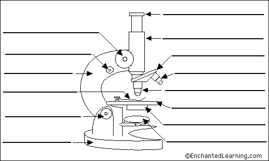 label-the-parts-of-a-microscope-worksheet-answers-laabeja-critina