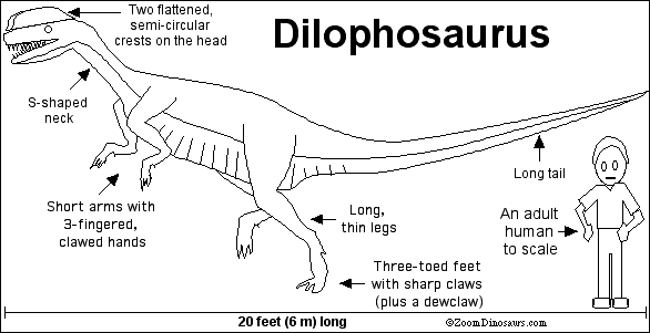 Dilophosaurus labeled diagram