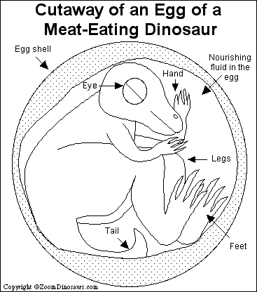dinosaur egg printout