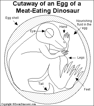 Search result: 'Dinosaur Egg Printout'