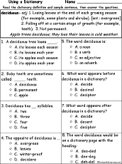 multiple choice