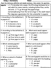 multiple choice