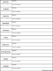 Search result: 'Write Bone-Related Definitions - Write Definitions Quiz'