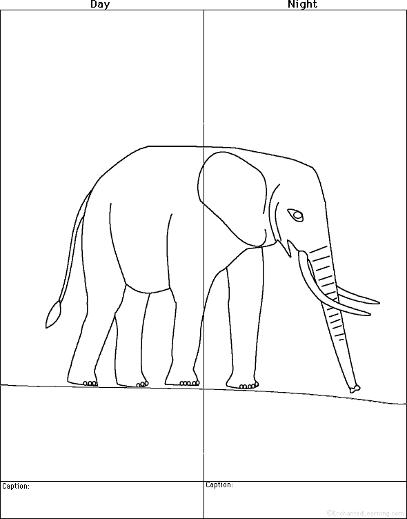 Search result: 'Draw an Elephant, Day and Night - Printable Worksheet'