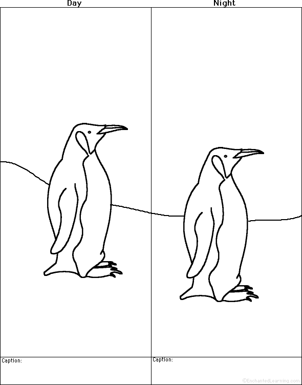 Search result: 'Draw a Penguin, Day and Night - Printable Worksheet'