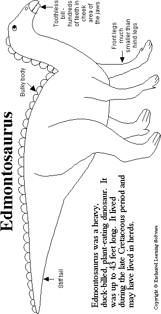 Search result: 'Edmontosaurus Print-out'