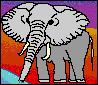 African elephant