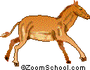 Search result: 'Horse Pages to Color Online'
