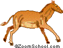 Search result: 'Horse Printouts'