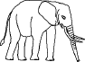 elephant