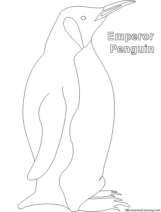 Search result: 'Emperor Penguin Printout (simple)'