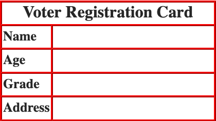 Voter Registration Card Example