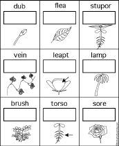 Search result: 'Writing Plant Anagrams with Pictures Worksheet'