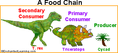 T. rex food chain
