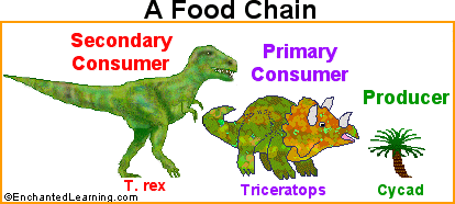 Dinosaur Period Chart