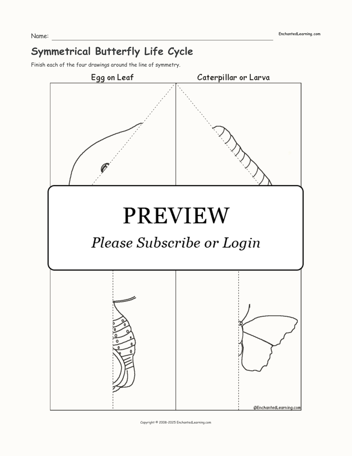 Symmetrical Butterfly Life Cycle interactive worksheet page 1