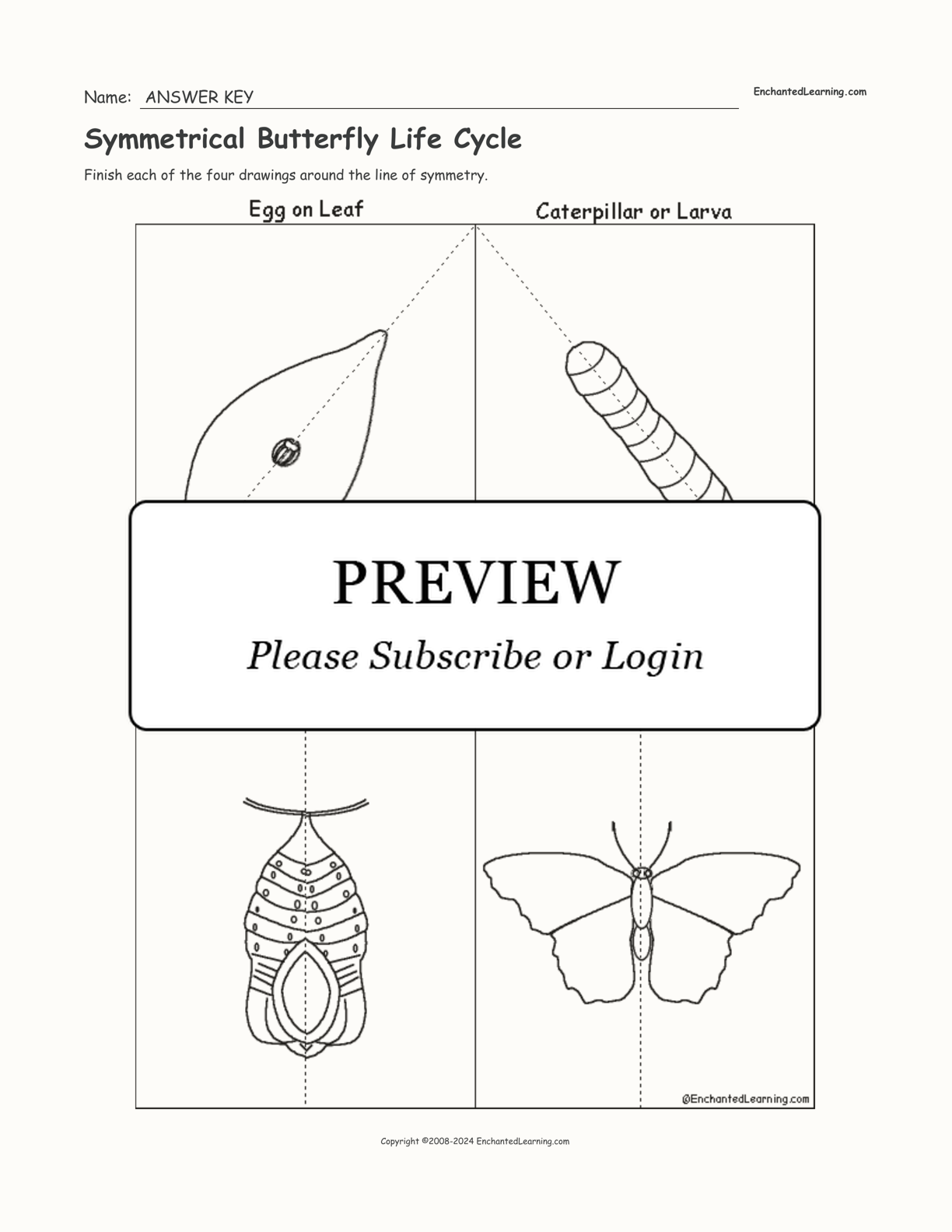Symmetrical Butterfly Life Cycle interactive worksheet page 2