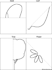 Search result: 'Symmetrical Plant Pictures: Finish the Drawing Printout'