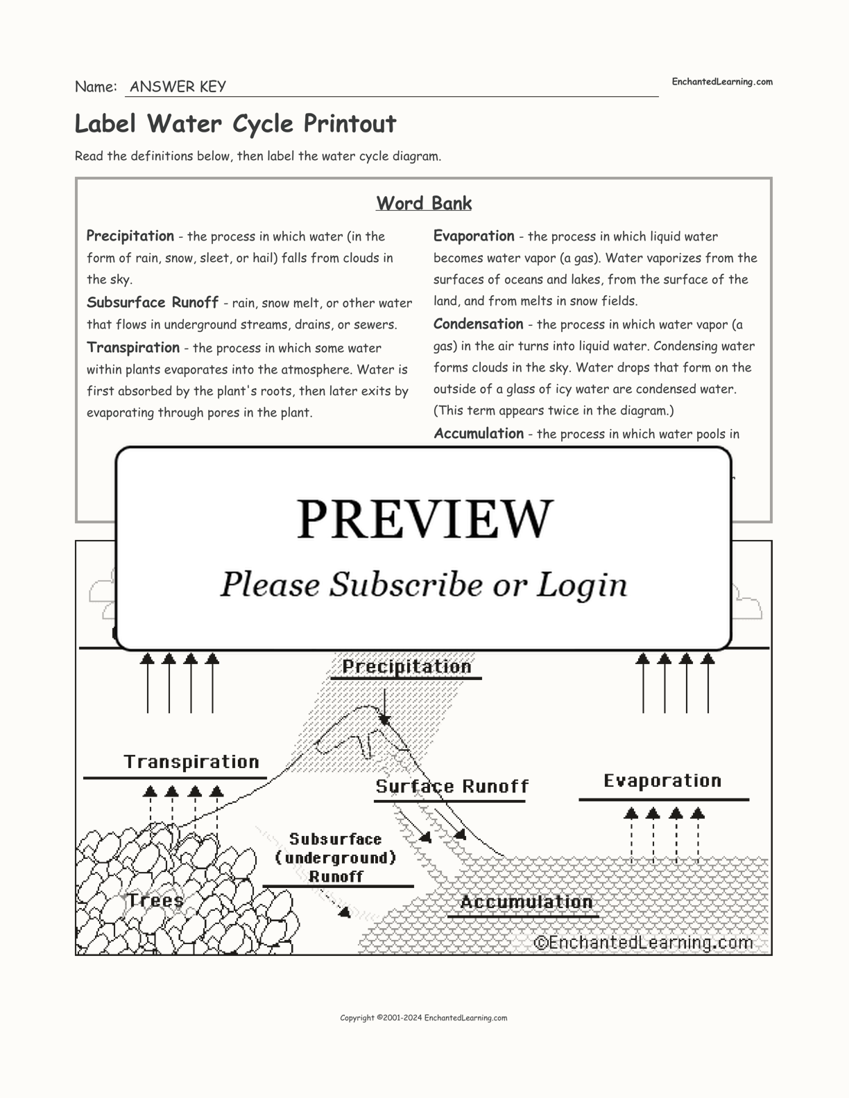 Label Water Cycle Printout interactive worksheet page 2