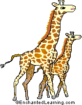 Search result: 'Giraffe Stationery'