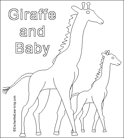 Search result: 'Giraffe and baby Printout'