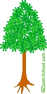 A Glossopteris tree