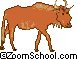 Gnu