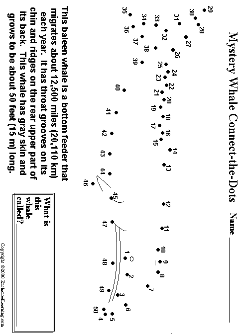 Search result: 'Gray Whale Connect-the-Dots'