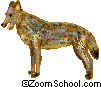 Gray Wolf