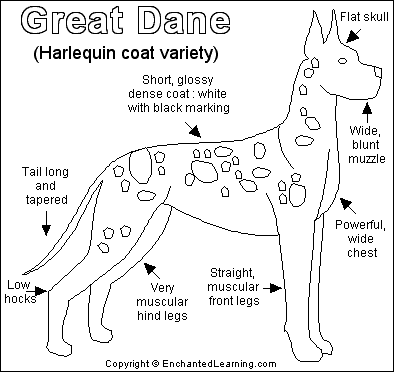 Search result: 'Great Dane Printout'