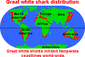 Great white shark distribution