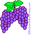 grapes