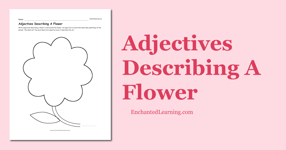Adjectives Describing A Flower Enchanted Learning