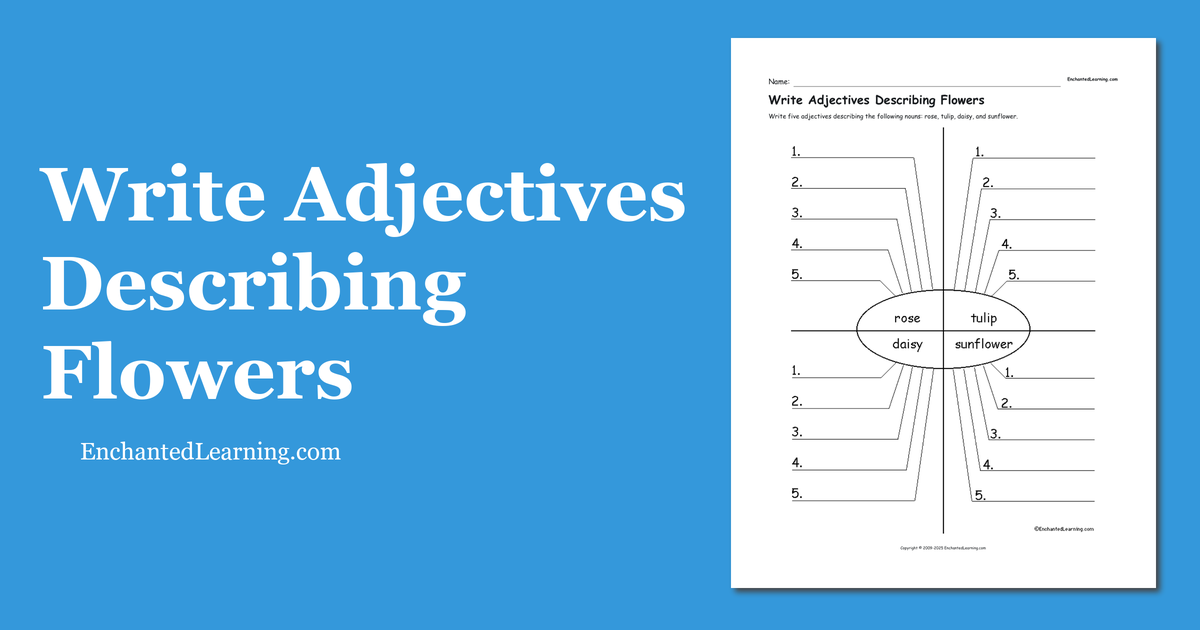 Write Adjectives Describing Flowers Enchanted Learning