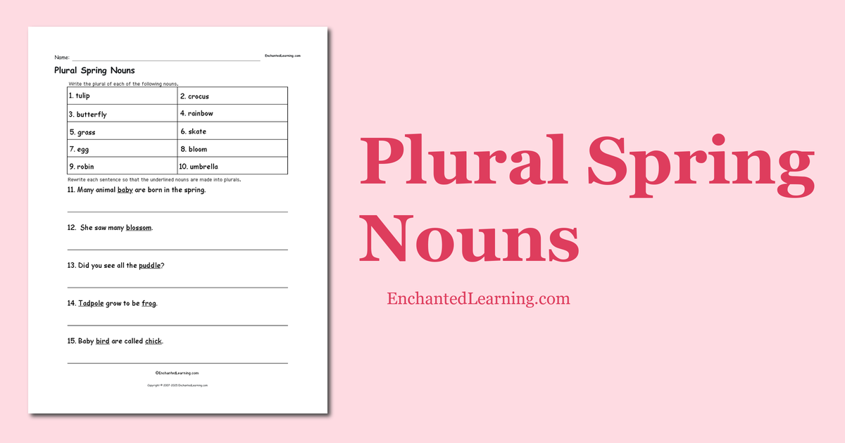 Plural Spring Nouns Enchanted Learning