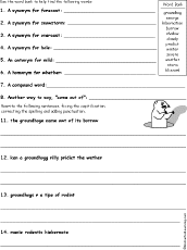 grammar worksheet