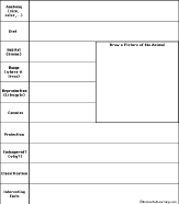 Search result: 'Animal Report Chart Printout #2: Graphic Organizers'