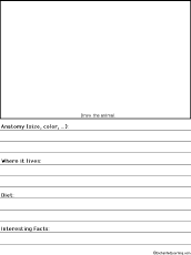 Search result: 'Simple Animal Report Worksheet: Graphic Organizers'