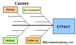 Cause And Effect Chart