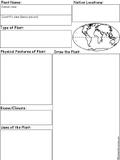 Plant graphic organizer