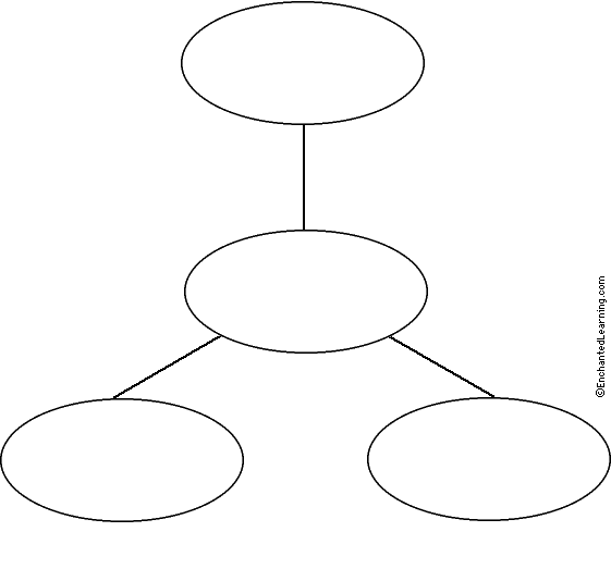 Bubble Chart Graphic Organizer