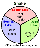 Y Chart Diagram